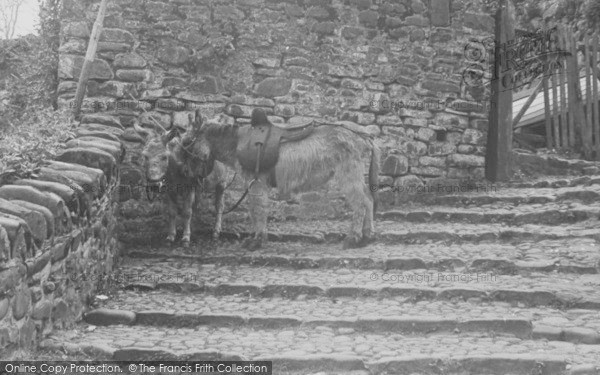 Photo of Clovelly, Resting c.1950