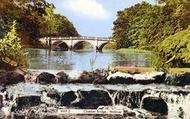 Clumber Park Bridge And Cascade c.1955, Clumber Park