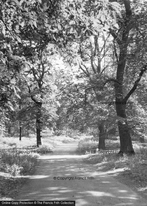 Photo of Clumber Park, The Dukeries c.1955