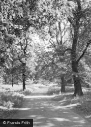 The Dukeries c.1955, Clumber Park
