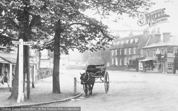 Photo of Cobham, Horse And Trap 1903