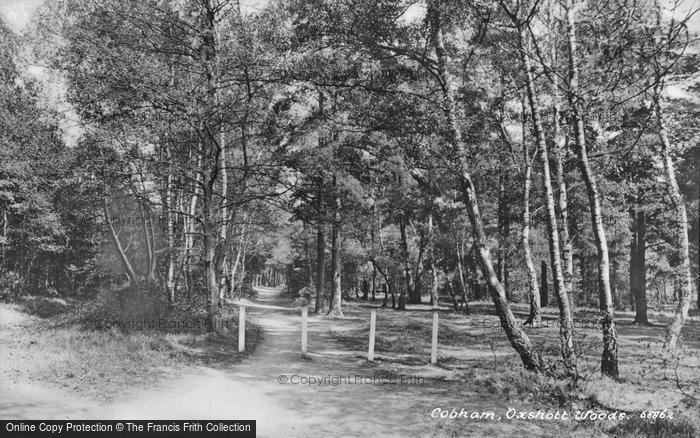 Photo of Cobham, Oxshott Woods 1919