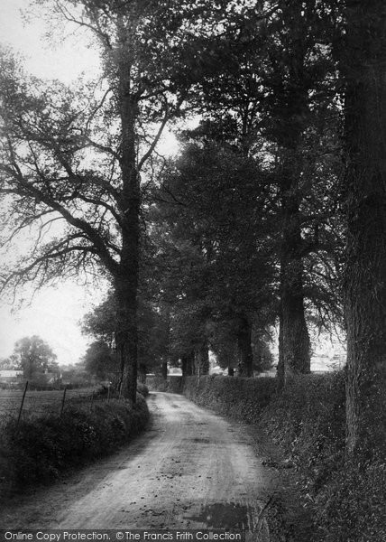 Photo of Cobham, Plough Lane 1903
