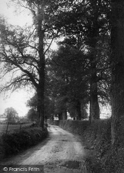 Plough Lane 1903, Cobham