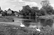 River Mole And Old Mill c.1955, Cobham