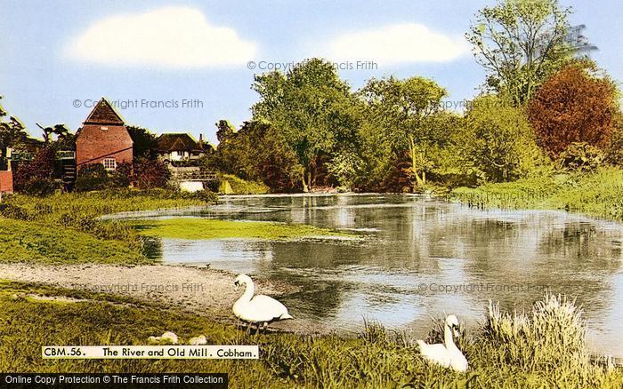 Photo of Cobham, River Mole And Old Mill c.1955
