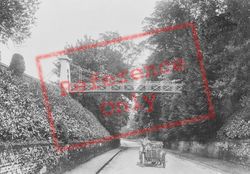 Suspension Bridge 1911, Cobham