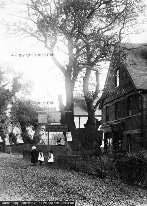 Photo of Cobham, The 'cyclist's Rest' 1904