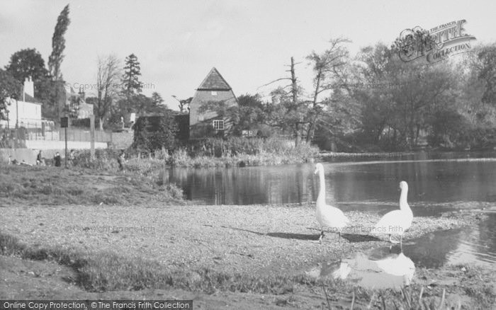 Photo of Cobham, The Mill c.1955