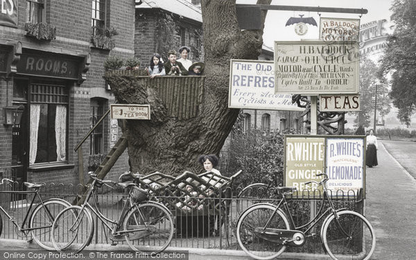 Photo of Cobham, Tree House, The Old Oak Tree Restaurant 1911