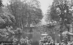 A Pond In The Park c.1950, Cockington