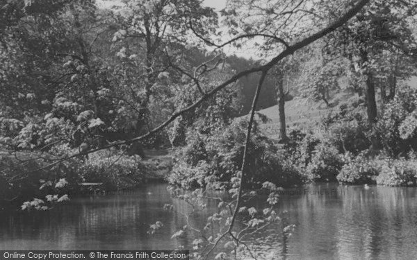 Photo of Cockington, Budding Leaf, The Park c.1950