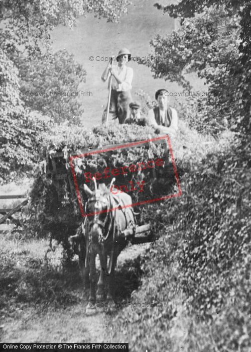 Photo of Cockington, Horse And Cart 1906