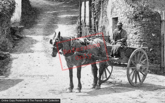 Photo of Cockington, Horse And Cart c.1880