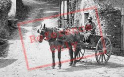Horse And Cart c.1880, Cockington