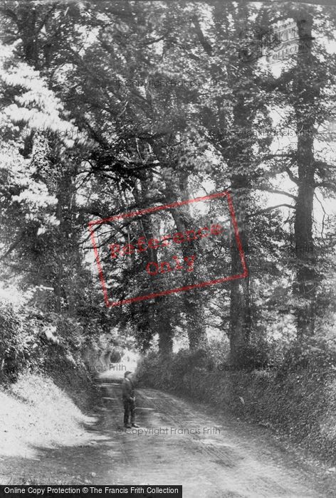 Photo of Cockington, Lane 1889