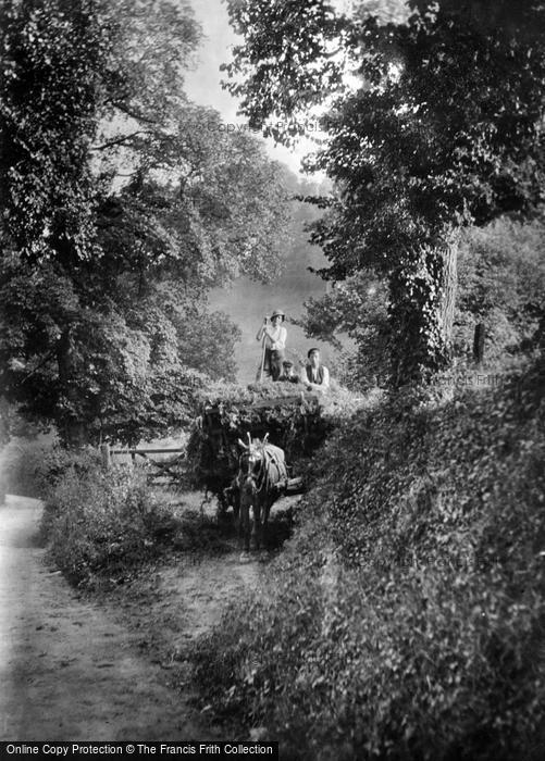 Photo of Cockington, Lane And Wagon 1906