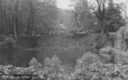 Lower Lake, The Park c.1950, Cockington