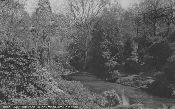 Photo of Cockington, Spring Foliage In The Park c.1950