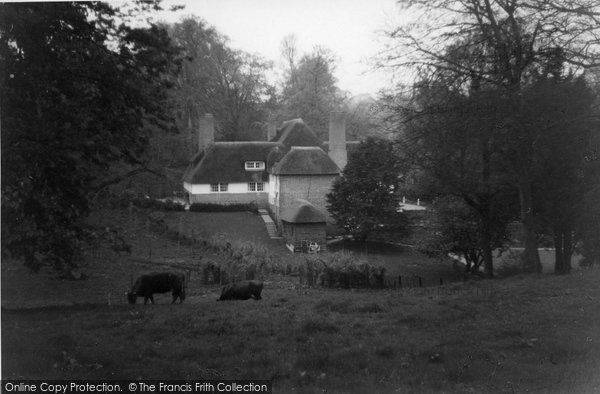 Photo of Cockington, The Drum, From The Park c.1950