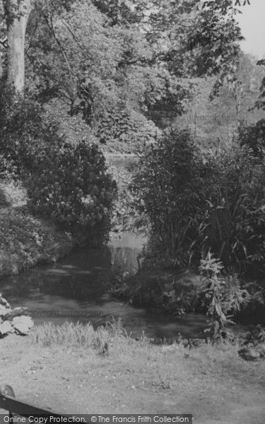 Photo of Cockington, The Park c.1950