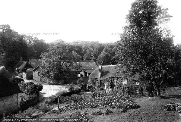 Photo of Cockington, The Village 1894