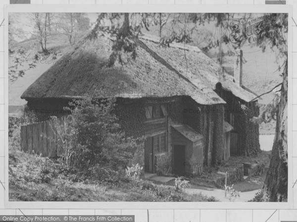 Photo of Cockington, Timber And Thatch, The Park c.1950