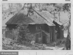 Timber And Thatch, The Park c.1950, Cockington