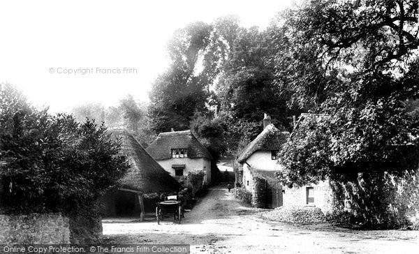 Photo of Cockington, Village 1901