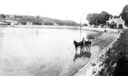 The Village 1906, Cofton