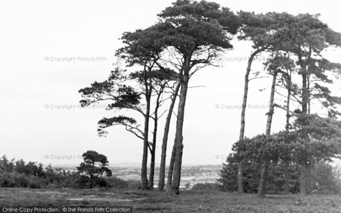 Photo of Cofton, View From The Hill c.1955