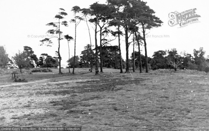 Photo of Cofton, View From The Hill c.1955