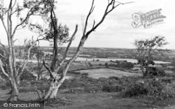 View From The Hill c.1955, Cofton