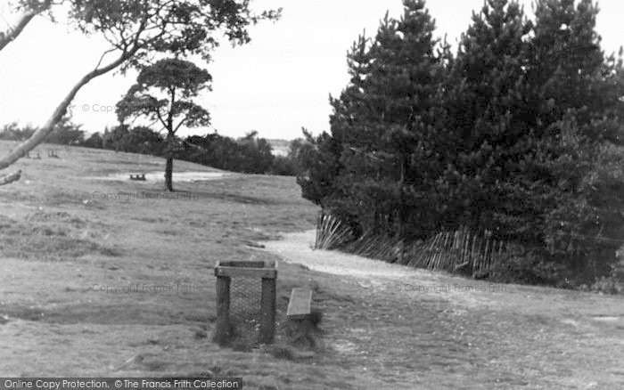 Photo of Cofton, View From The Hill c.1955