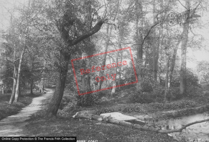 Photo of Colchester, Lexden Spring 1895