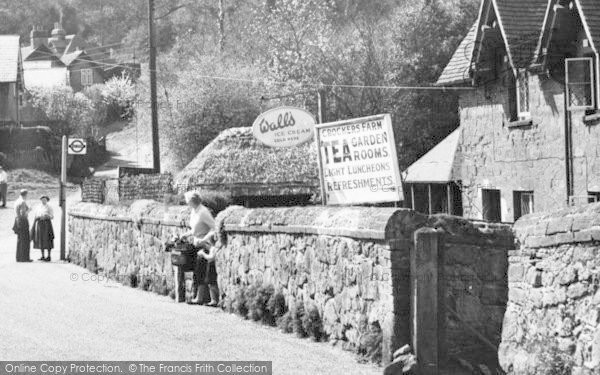 Photo of Coldharbour, Crockers Farm Tea Garden c.1965