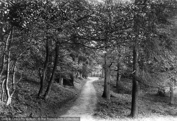 Photo of Coldharbour, Footpath To Holmwood Station 1906