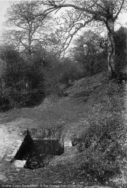 Photo of Coldharbour, Mag's Well 1906