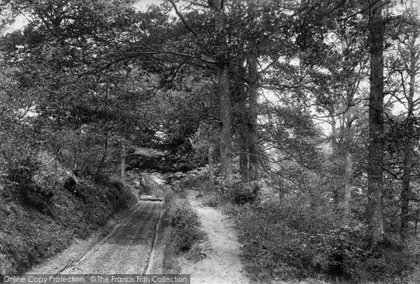 Photo of Coldharbour, Merridon Wood 1906