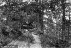 Merridon Wood 1906, Coldharbour