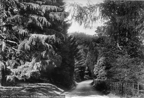 Photo of Coldharbour, Mosses Wood 1906