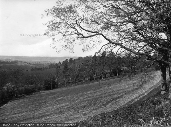 Photo of Coldharbour, Ranmore View 1924