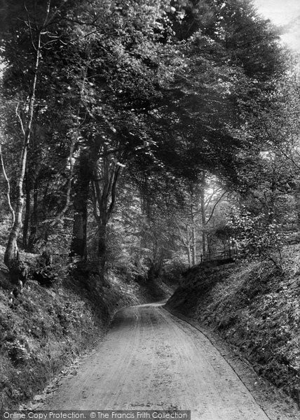 Photo of Coldharbour, Road To Dorking 1906