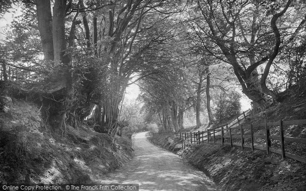 Photo of Coldharbour, Road To Ockley 1919