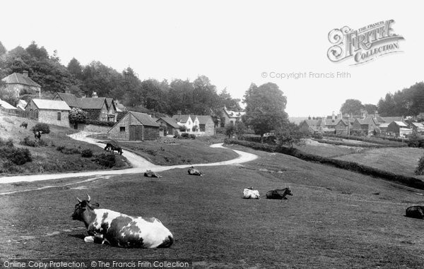 Photo of Coldharbour, The Green 1906