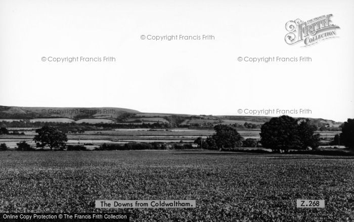 Photo of Coldwaltham, The Downs c.1955
