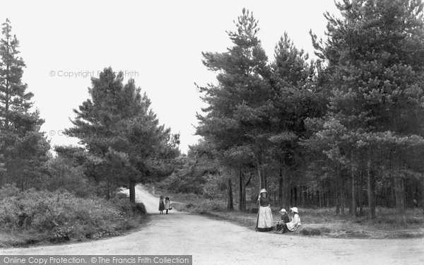 Photo of Colehill, The Firs 1908