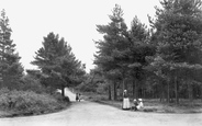 The Firs 1908, Colehill