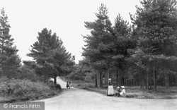 The Firs 1908, Colehill