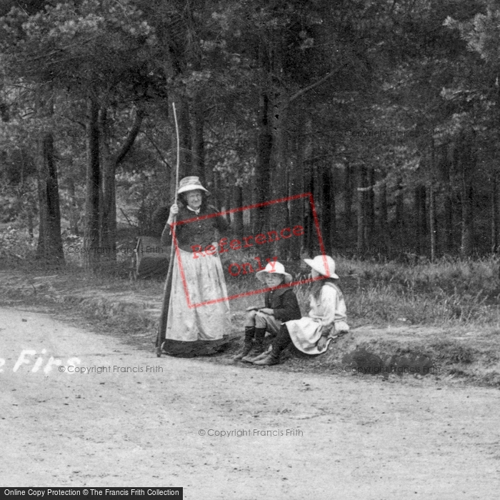 Photo of Colehill, The Firs 1908